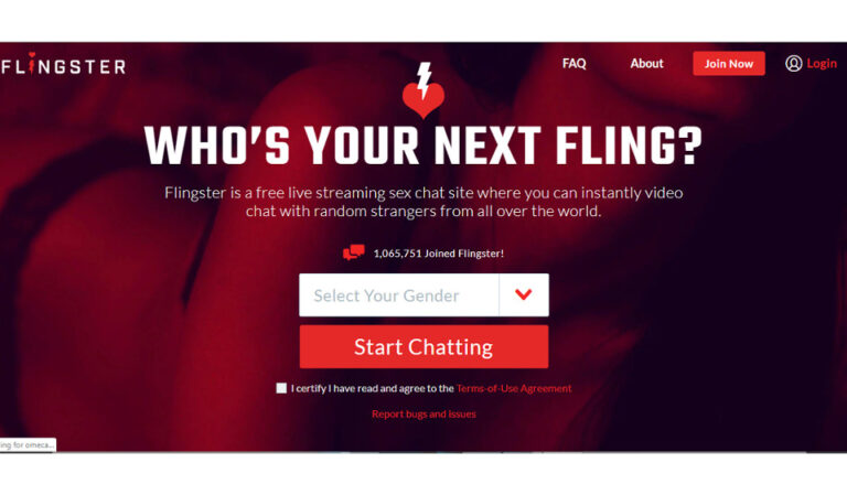 Flingster Review: The Pros and Cons of Signing Up