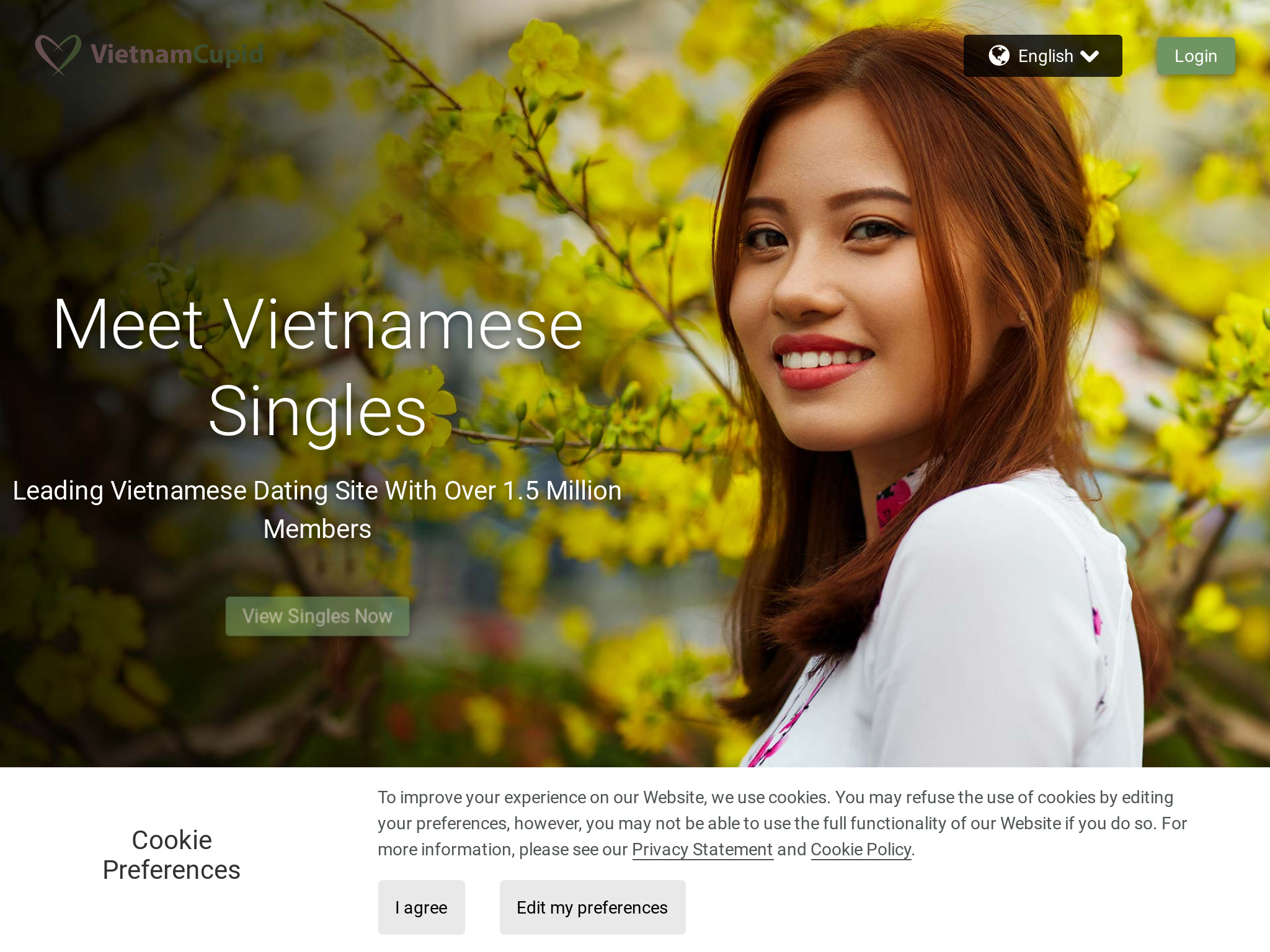 VietnamСupid Review &#8211; Is het het waard?